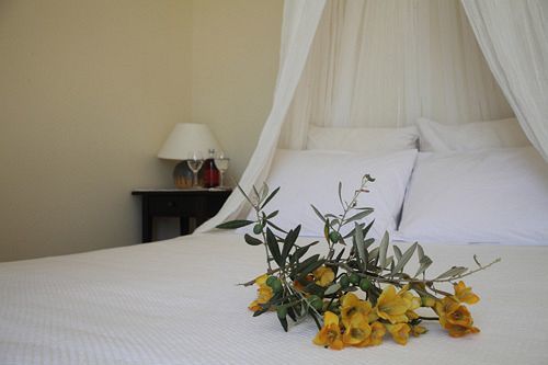 Urania Luxury Villas Pondi Eksteriør billede